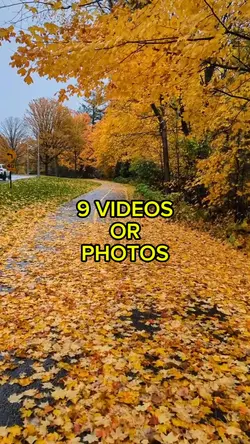 Autumn Aesthetic