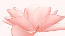 Pink Flower ²⁰