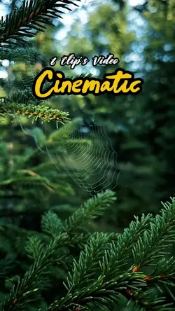 6 Clip's Cinematic