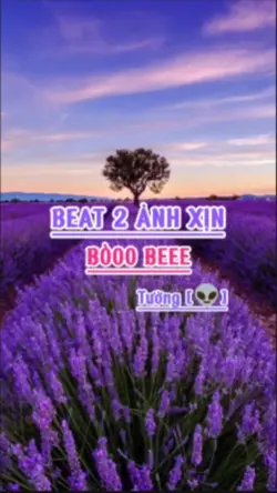 BEAT 2 ẢNH XỊN