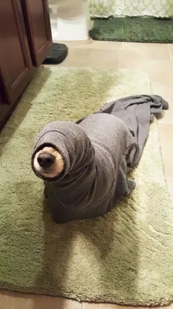 อยู่จังหวัดไหนกัน