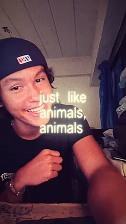 animals