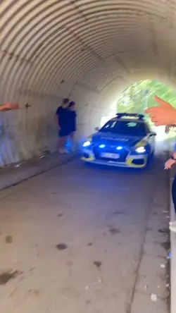 Polizei 