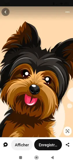 Cookie 03/06/2024
