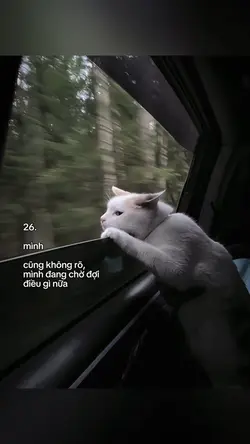 Caption + Màu