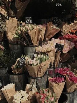 flowers