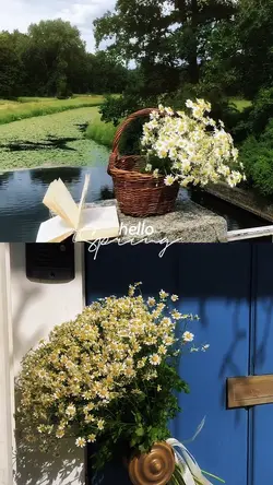 hello spring