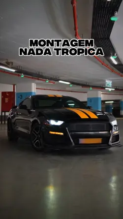 montagem nada
