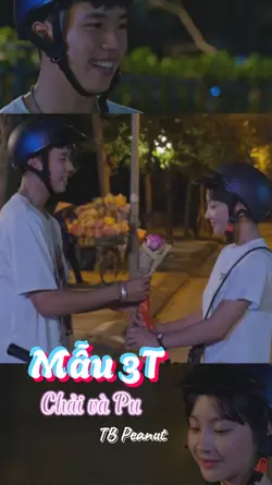 Mẫu 3T 