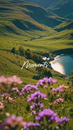 Moments