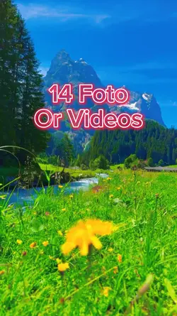 14 Foto Slide