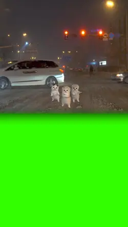 green screen kity