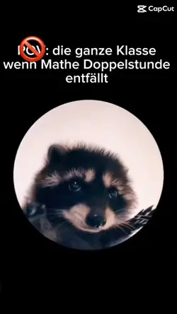Wenn🦝Mathe🎀ausfällt😍