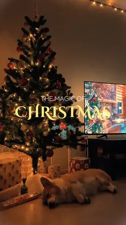 Christmas vibes 