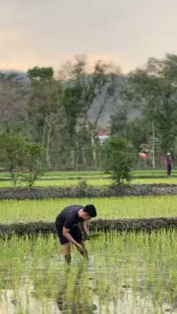 aslinya mah cio gua