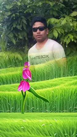 Best seen 