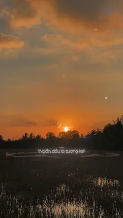Mẫu 1 video ảnh 