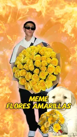 Flores amarillasmeme