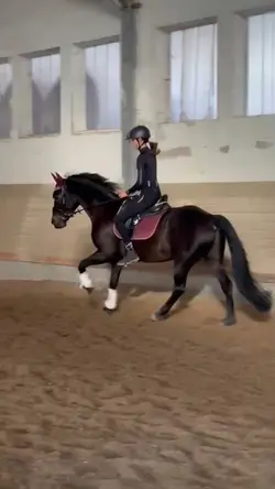 FUNKY SLOWMO FT. LU!