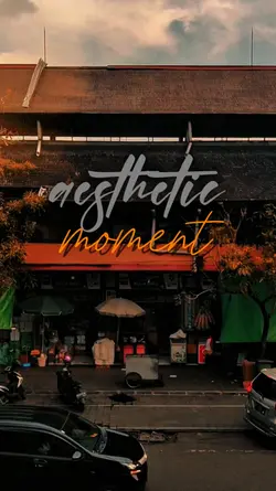 aesthetic videos
