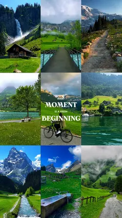 fresh moment