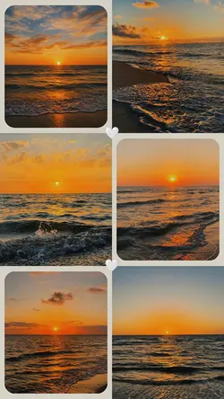 6 photos