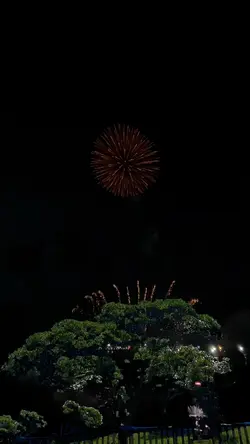 Fireworks 🎆 waterfal