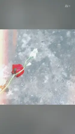 slow motion 