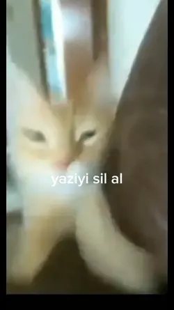 yaziyi sil al ask