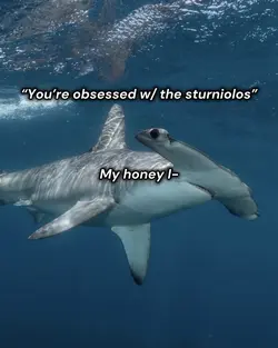 honey I know trend!