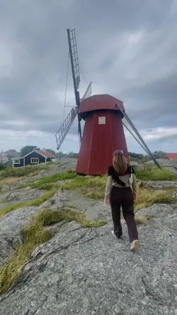 🇸🇪