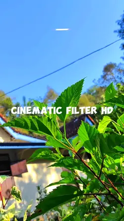 AEES CINEMATIC