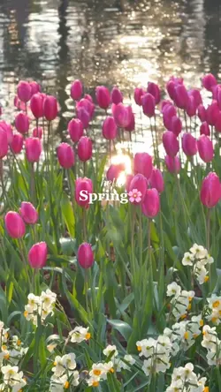 Hello Spring
