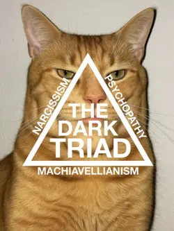 The dark triad