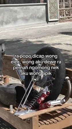 rapopo dicap wng elk