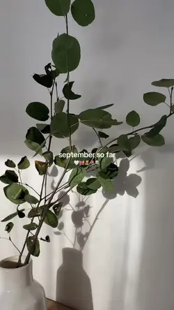 september so far