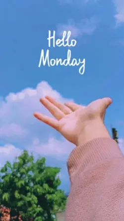 Hello monday