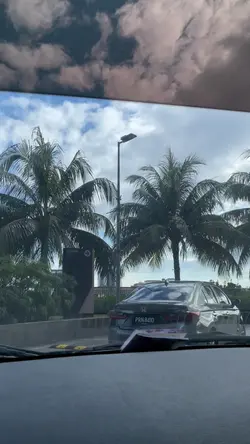 Vlog