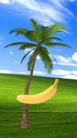 FUNNY HAPPY BIRTHDAY