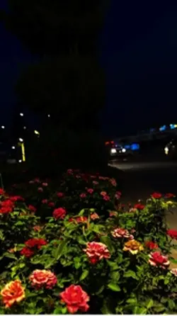 قوالب دينية