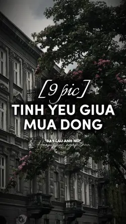 Mẫu 9 ảnh cuốn