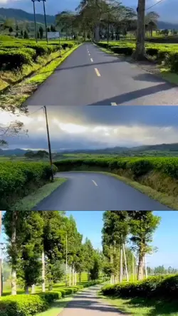 3 video travel