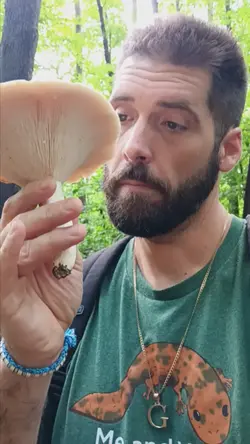 Peppery Milkcap