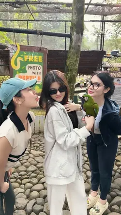 aman saja mo