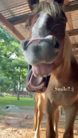 Smile! :)