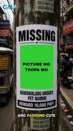 Missing Cute Unggoy