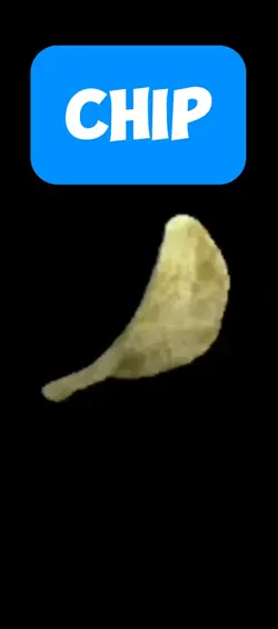 Spinning chip