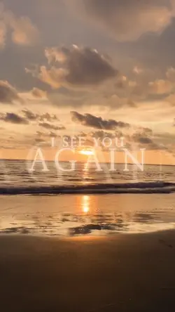 see you again vlog