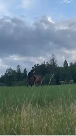Szalony
