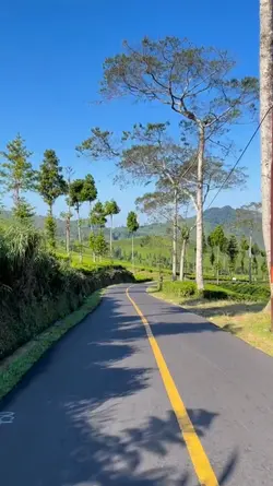 2 video story 